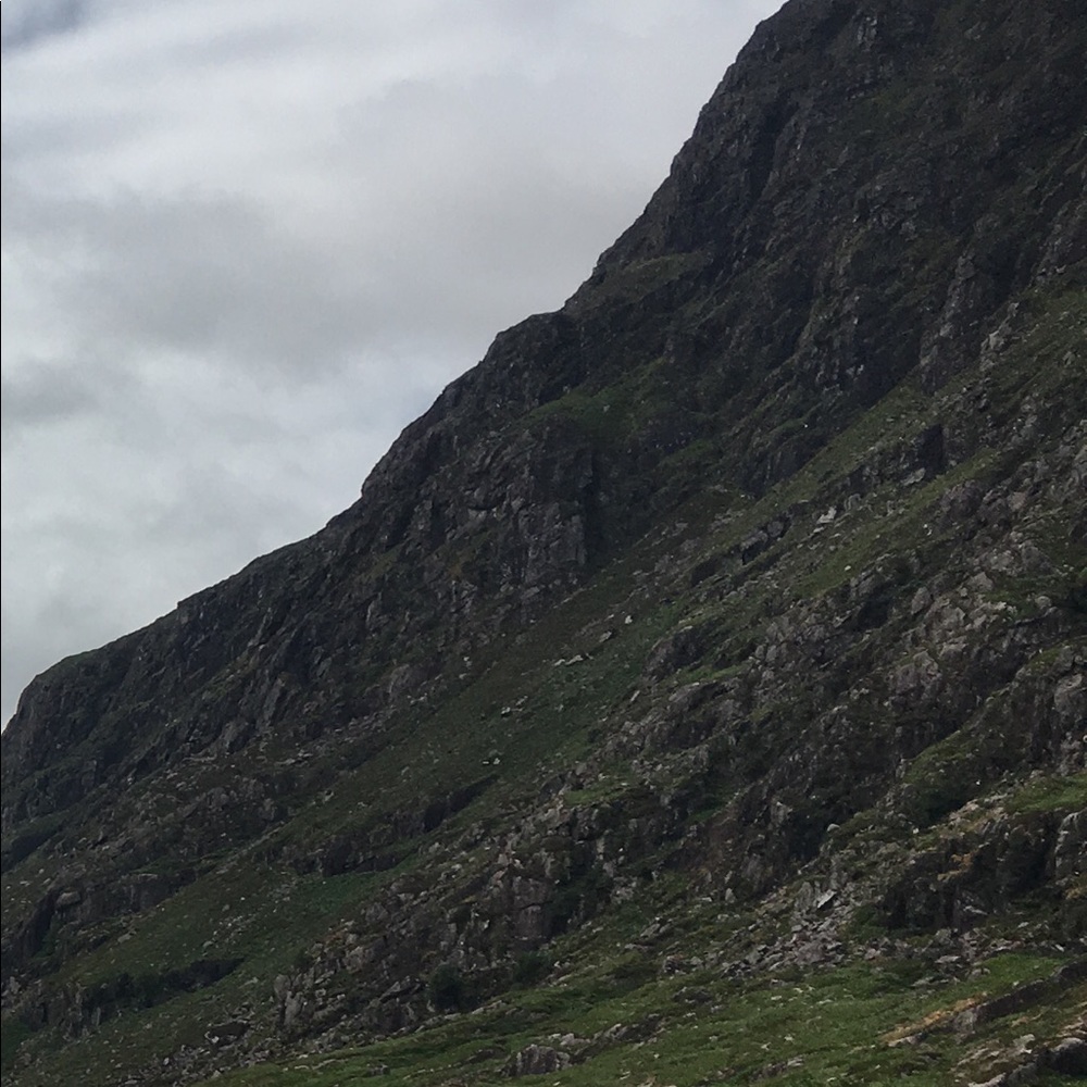 Meet your Posher, Shannon